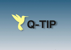 Q-TIP